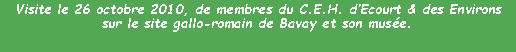 Zone de Texte: Visite le 26 octobre 2010, de membres du C.E.H. d’Ecourt & des Environs sur le site gallo-romain de Bavay et son musée.
